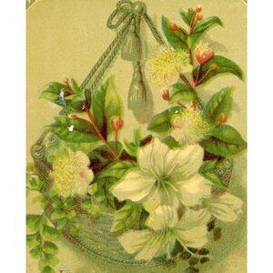 1880-90's Happy Birthday Flower Basket Lilly Victorian Trade Card Lovely-T1